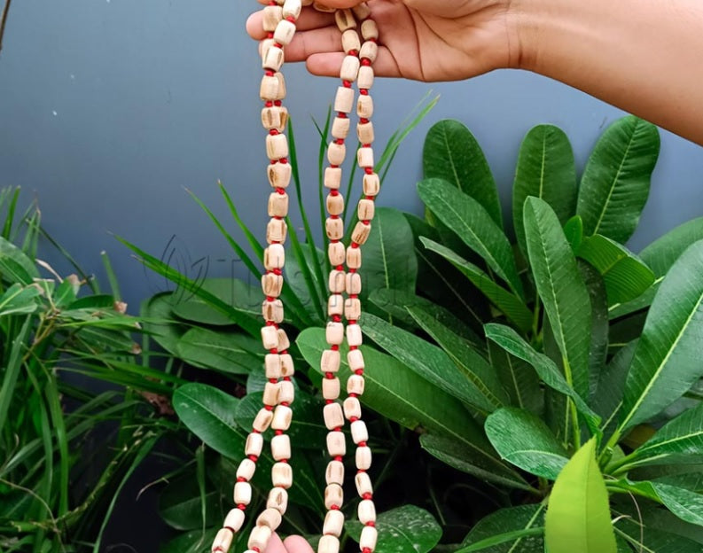 Tulsi Japa Mala Big to Small Beads 14mm-12mm Beads Size